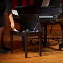 Deluxe Keyboard/Piano Bench