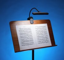 Clip-On LED Orchestra Light