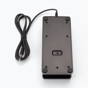 Expression Pedal