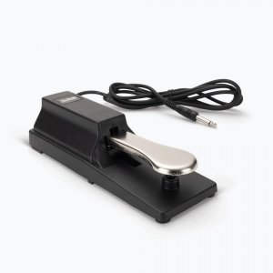 Keyboard Sustain Pedal