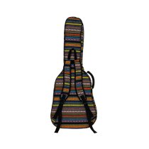 Striped Acoustic Guitar Bag